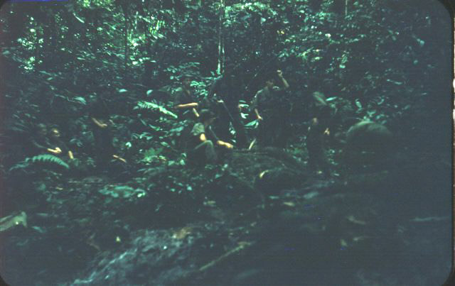 CPL. HOPKINS RETURNING FROM A RECCE