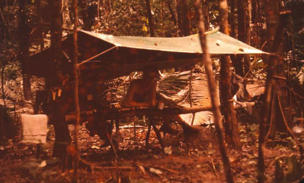 SIMON TURNER & HIS BASHA